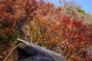 Japonia