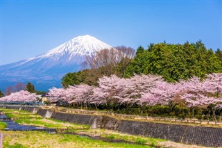 Japonia