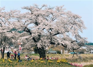 日本