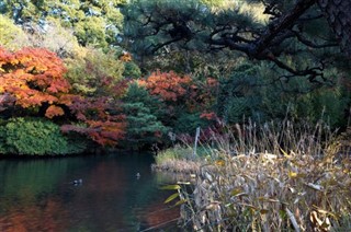 Japonia