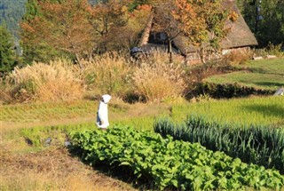 日本