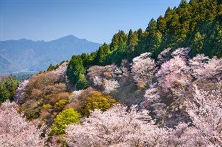 Japonsko