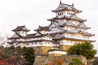 Japonya