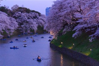 Japonia