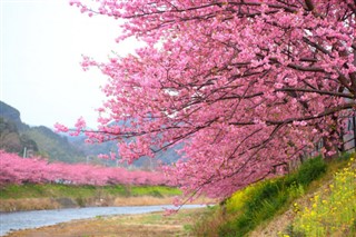 日本