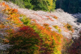 Japonsko