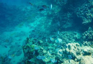 約翰斯頓環礁