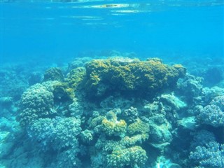 约翰斯顿环礁