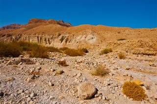 Jordania