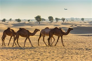 Jordania