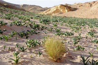 Jordania