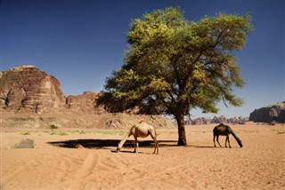 Jordania