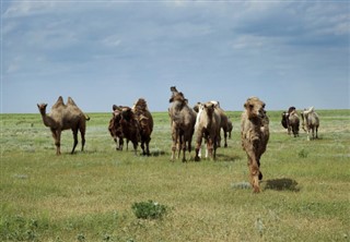 Kasakhstan