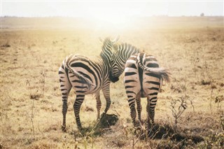 Kenya
