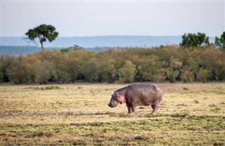 Kenya