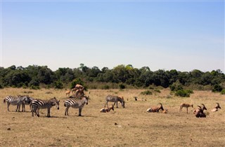 Kenya