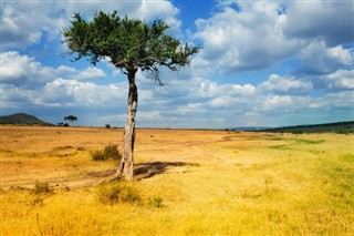 Кенија