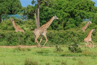 Kenya