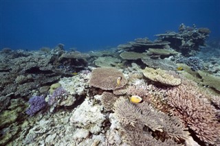 金曼礁