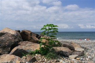 Kiribati