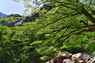 韓国、北朝鮮