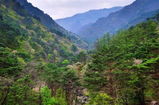 韓国、北朝鮮