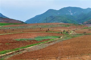 한국