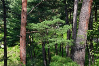 Noord-Korea