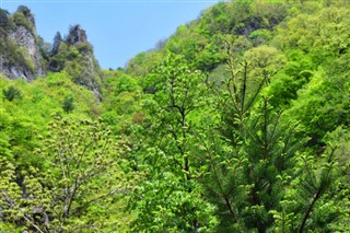 Κορέα,