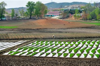 韩国，北方