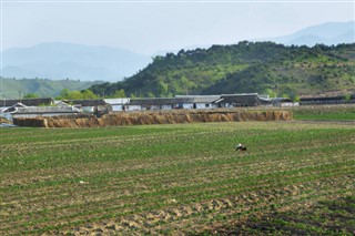 韓国、北朝鮮