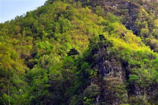 韓国、北朝鮮