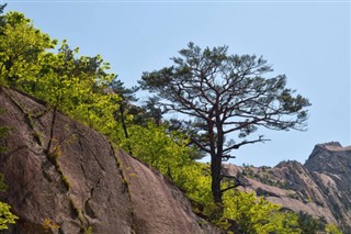 韓国、北朝鮮