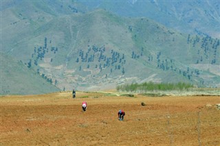 韓国、北朝鮮