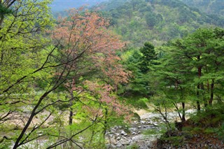 한국