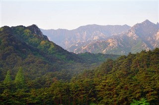 한국