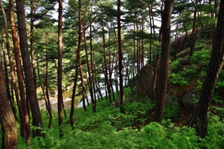 한국