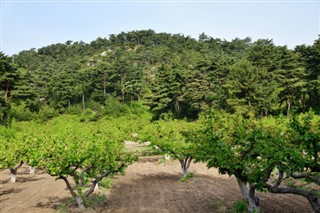 韓国、北朝鮮