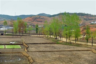 한국