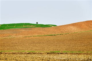 Šiaurės