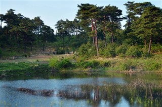 韓国、北朝鮮