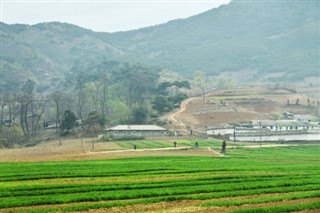 한국