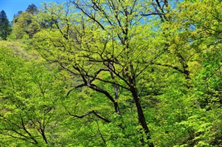 韓国、北朝鮮