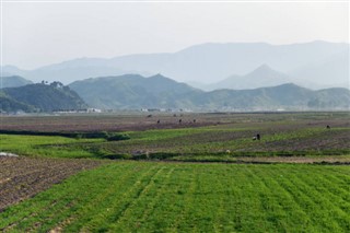 韓国、北朝鮮