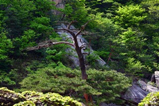 한국