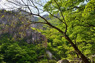 한국