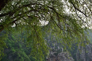 韓国、北朝鮮