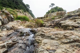 대한민국