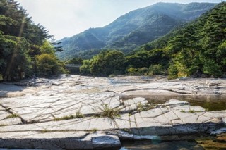 대한민국