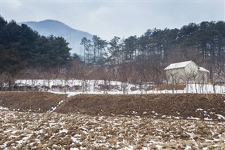 Coreea
